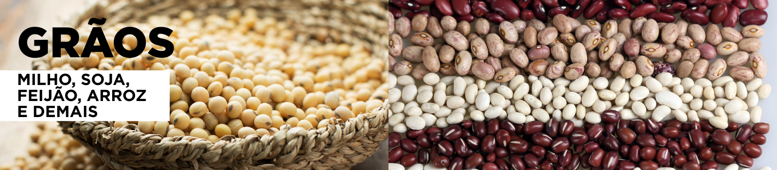 grão soja milho trigo arroz anuncie sua marca agro aqui comércio eletrônico agrícola sem atravessadores - agro agricola agritech implemento.png