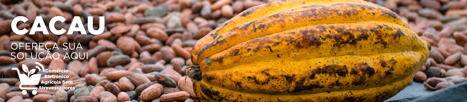 anuncie sua marca agro aqui comércio eletrônico agrícola sem atravessadores - cacau, cocoa.png