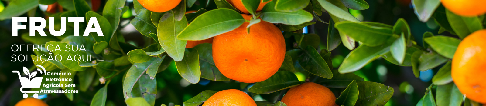anuncie sua marca agro aqui comércio eletrônico agrícola sem atravessadores - agro fruto fruta frutífera.png