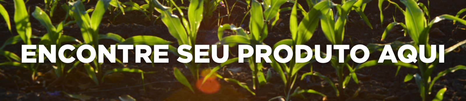 anuncie sua marca agro aqui comércio eletrônico agrícola sem atravessadores - agro compre produto compre serviço rural.png