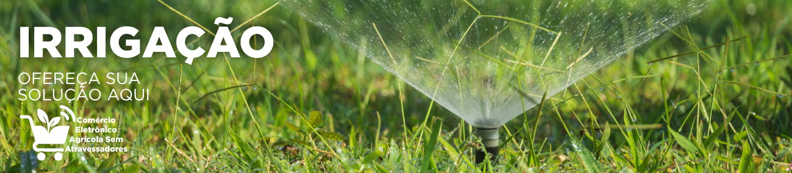 irrigação, sistema de irrigação comércio eletrônico agrícola sem atravessadores - agro.png